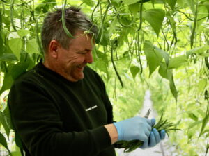 christer_lillandt_sadonkorjuussa_lillandts_gronsaker_kuvaajamillatolonen_vaaka