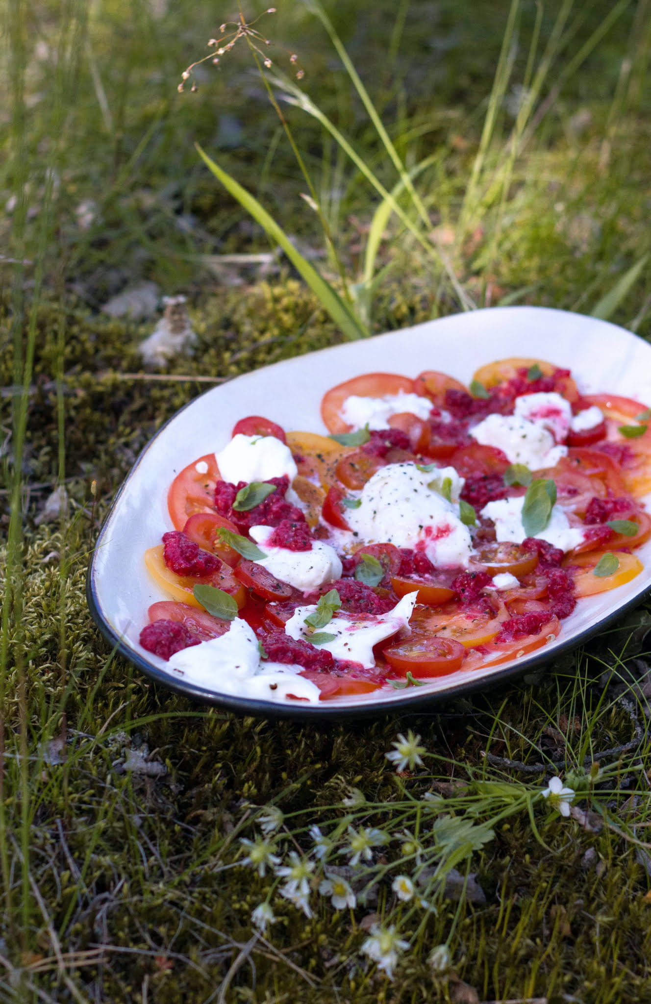 pumpkin-jam-tomaatticarpaccio-scaled