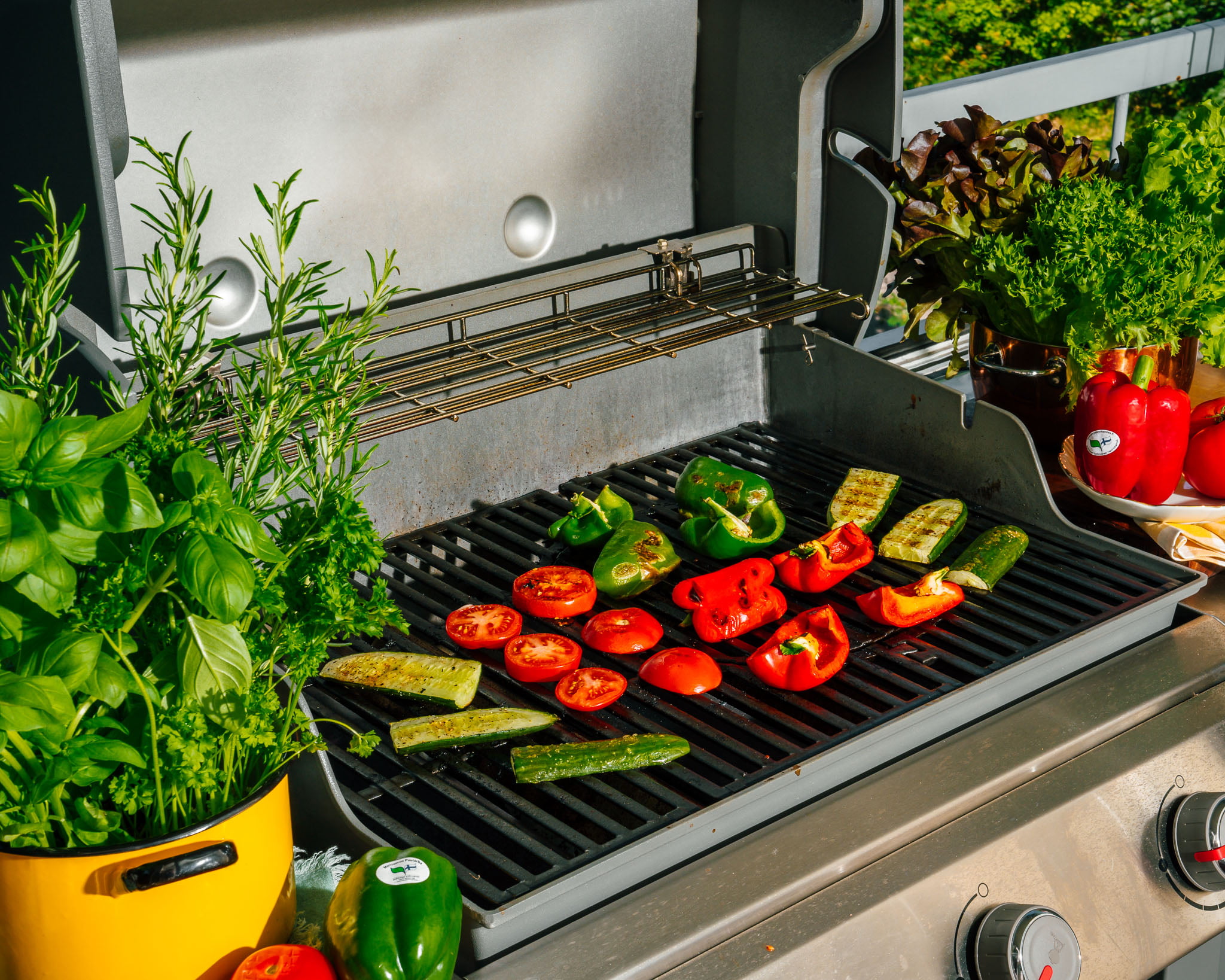 satokausikalenteri_kauppapuutarhaliitto_kesarullat_grillatusta_kurkusta-6
