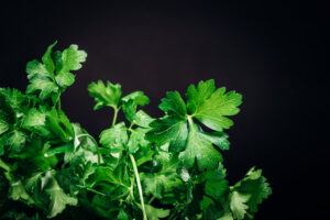 korianteri2-scaled-2